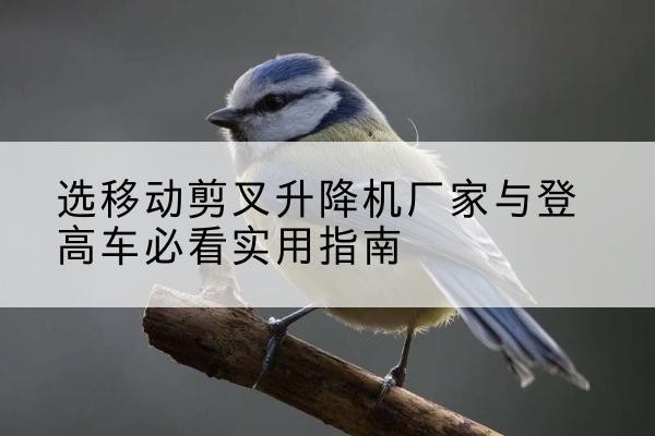 景谷电动升降机厂家-选移动剪叉升降机厂家与登高车必看实用指南