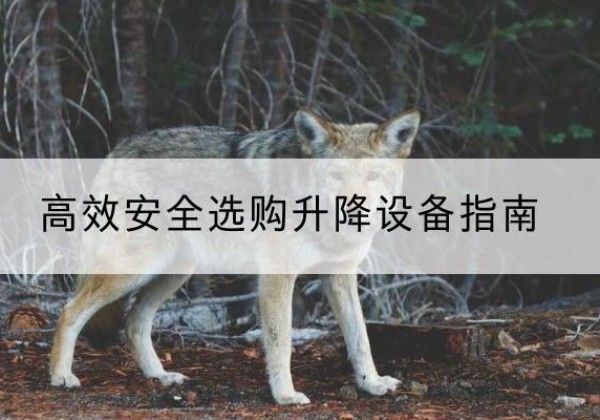 景谷升降货梯厂家推荐-*安全选购升降设备指南