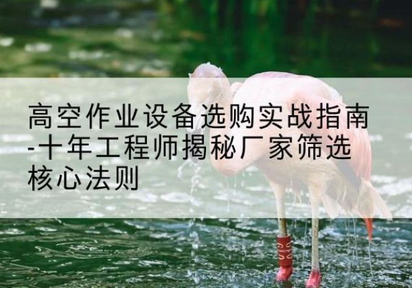 景谷剪叉式升降机厂家-高空作业设备选购实战指南-十年工程师揭秘厂家筛选核心法则